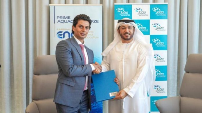 कोकणातील तरुण उद्योजक इम्तियाज काळसेकर दुबईत उभारणार कोळंबी प्रकल्प कोकणातील तरुण उद्योजक इम्तियाज काळसेकर दुबईत उभारणार कोळंबी प्रकल्प