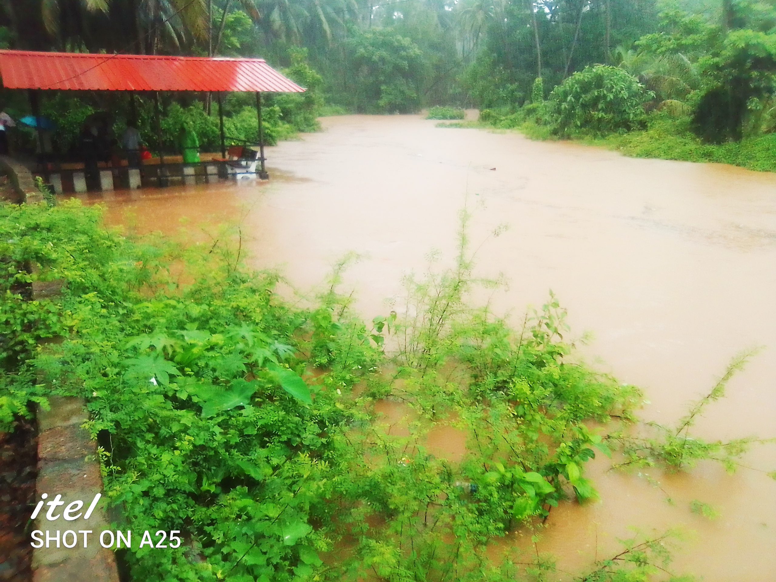 सिंधुदुर्ग : मुसळधार पावसाने सर्वत्र पाणीच पाणी; लाखोंचे नुकसान