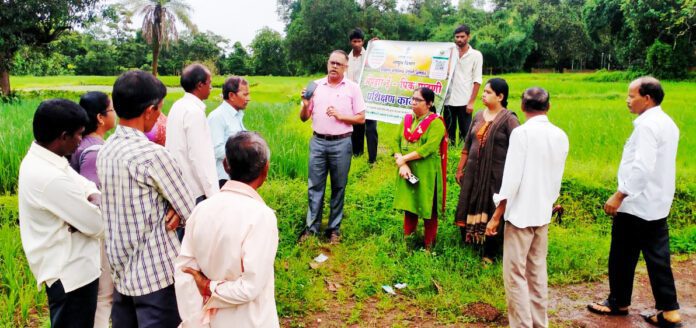 E-pik Margdarshan दैनिक सिंधुदुर्ग समाचार