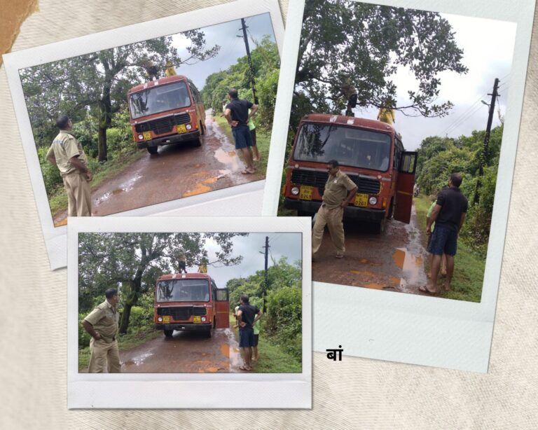 सिंधुदुर्ग : गणेश चतुर्थी काही दिवसावर आल्याने कास ग्रामस्थानी विद्युत वाहीन्यावर आलेल्या झाडाच्या फांद्या तोडुन केली सफाई