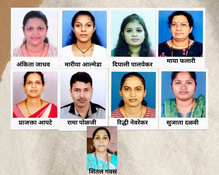 दैनिक सिंधुदुर्ग समाचार