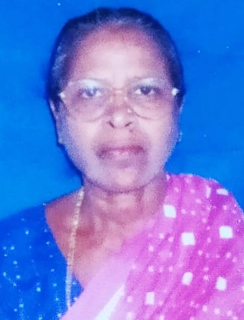 Vrundavani girap