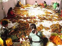 सिंधुदुर्ग  : शहरात पाच ठिकाणी निर्माल्य संकलन