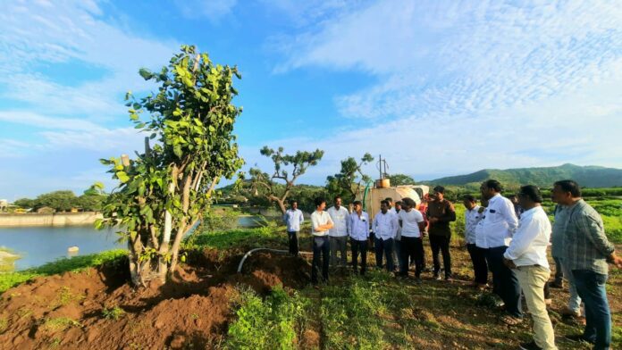 राष्ट्रीय महामार्गावरील वृक्षांना मिळाले अखेर जीवदान,ऐतिहासिक होळकर तलावाच्या न्यूपालखी मैदानावर झाले पुनर्वसन