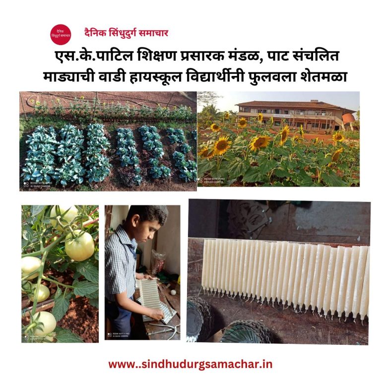 पाट संचलित माड्याची वाडी हायस्कूल विद्यार्थीनी फुलवला शेतमळा