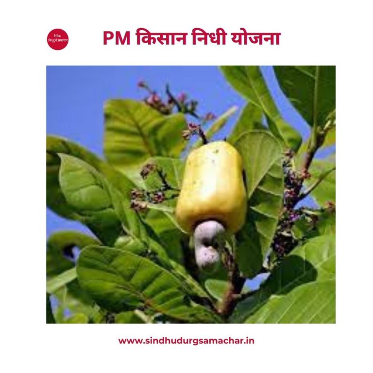 PM किसान सन्मान निधी,योजना,