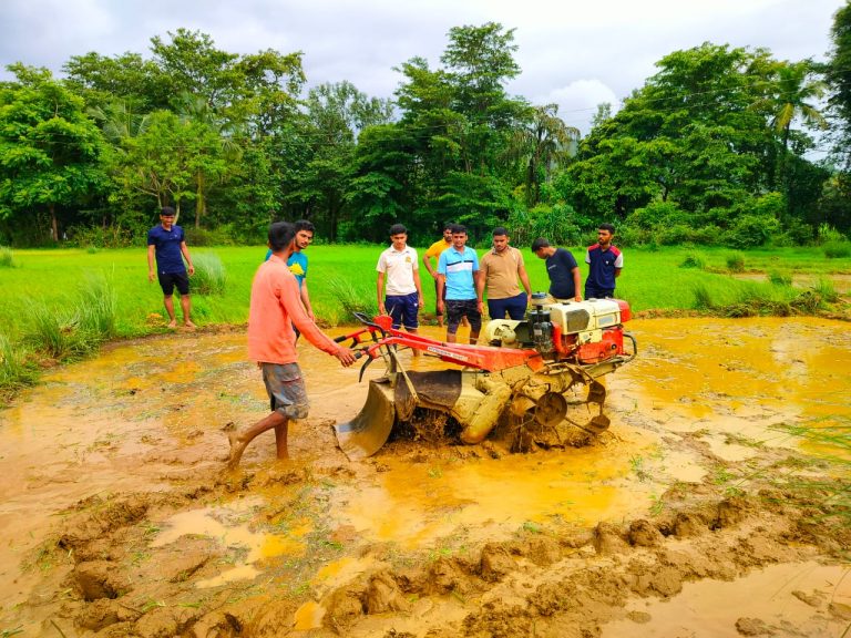 माणगाव मध्ये कोकण कृषी विद्यापीठाच्या SRI पद्धतीने भात लागवड
