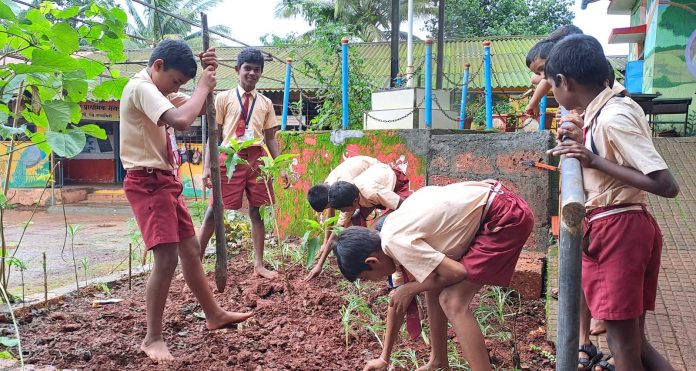 WhatsApp Image 2023-08-05 at 6.30.14 PM (1) चंद्रनगर शाळेचा ' झाडे लावूया ' चा जागर!