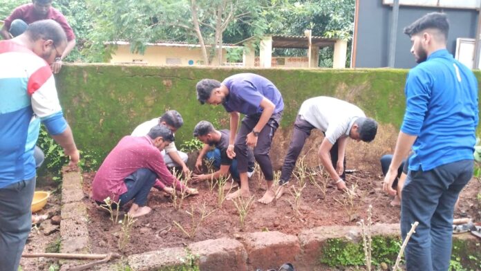 चंद्रनगर शाळेत ' रावे ' चे श्रमदान