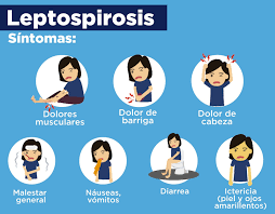 Leptospirosis,