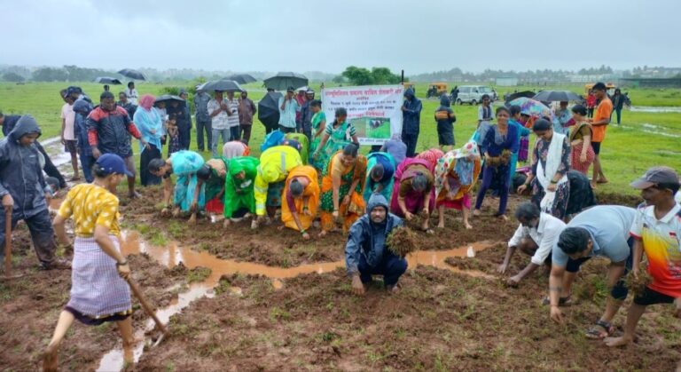 Kokan: अल्युमिनियम प्रकल्पबाधित शेतकऱ्यांचे दळ्यात भात रोपे लावून अनोखे आंदोलन