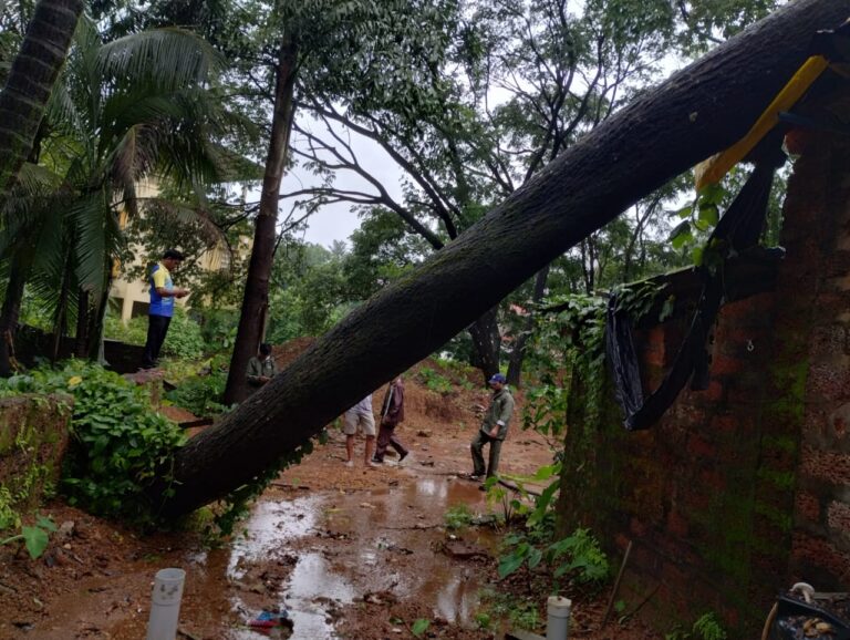 दैनिक सिंधुदुर्ग समाचार ,