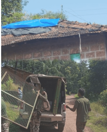 आरे गावात माकडांच्या उपद्रवावर अखेर तोडगा