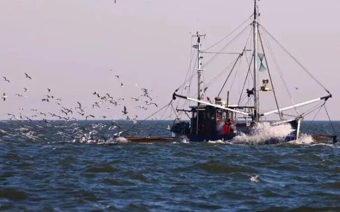 भाजप आमदाराच्या मालकीचा ट्रॉलर जप्त? महाराष्ट्राच्या सागरी हद्दीत बेकायदेशीर मासेमारी!