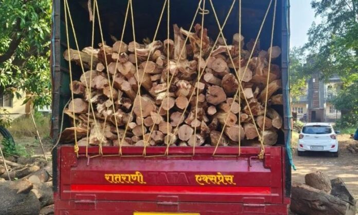 असुर्डे येथे विना परवाना खैर लाकूड जप्त, वन विभागाची कारवाई