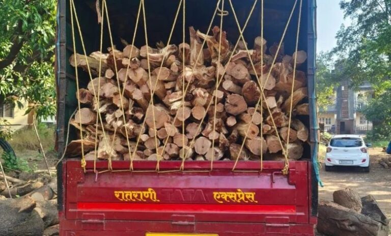 असुर्डे येथे विना परवाना खैर लाकूड जप्त, वन विभागाची कारवाई