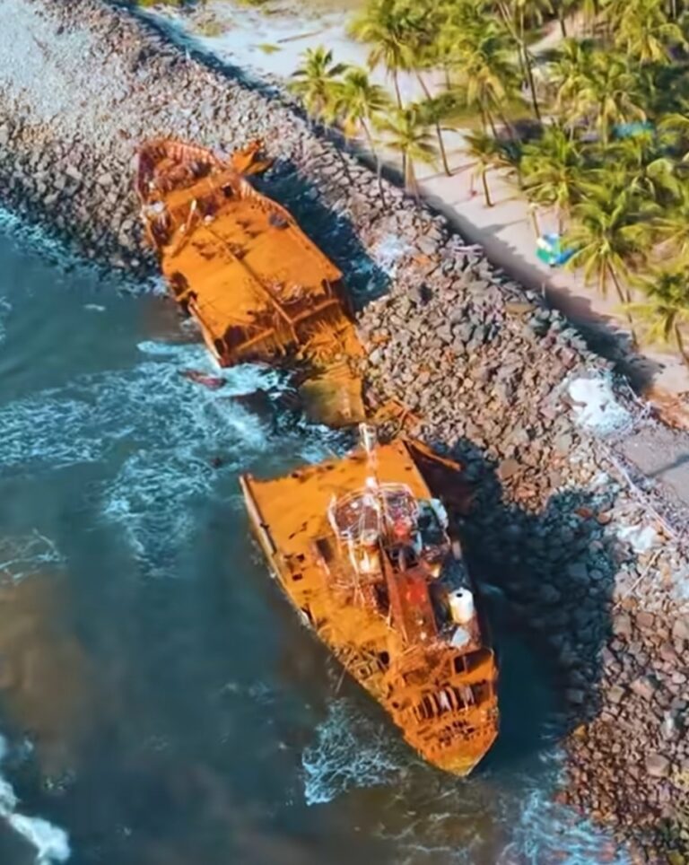 मिऱ्या किनाऱ्यावरचे 'बसरा स्टार' जहाज अखेर भंगारात काढण्याची कार्यवाही सुरू