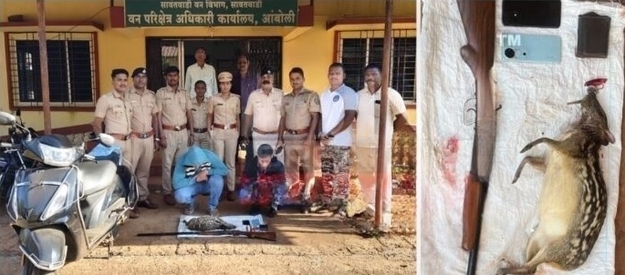 वन्यप्राण्याची शिकार केल्याप्रकरणी चौकुळ येथे दोघे ताब्यात वन्यप्राण्याची शिकार केल्याप्रकरणी चौकुळ येथे दोघे ताब्यात