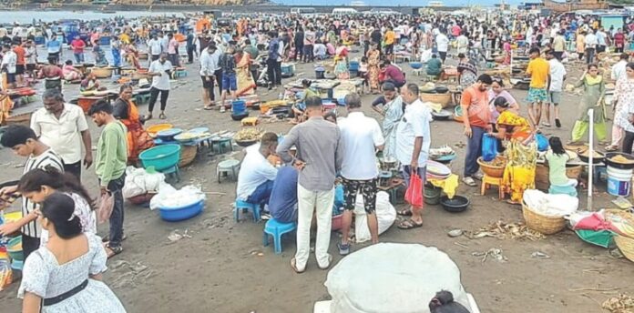 हर्णे बंदरात कोळंबी (1) हर्णे बंदरात कोळंबीची आवक घटली