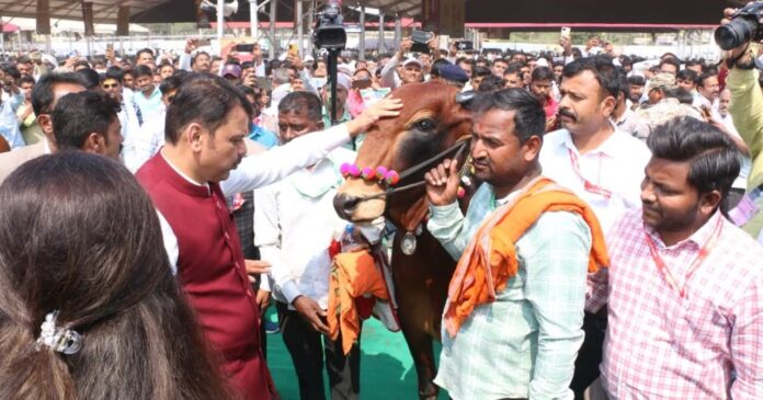 परळी येथे ‘महा पशुधन एक्स्पो २०२६’ला मुख्यमंत्र्यांची भेट