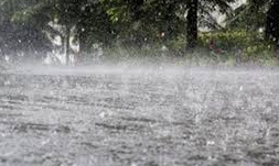 Rain in Kokan sindhudurg अवकाळी पावसाचा कोकणात तडाखा; आंबा-काजू उत्पादकांमध्ये चिंता