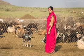 ‘स्टँड अप इंडिया’ योजनेतून धनगर समाजातील महिलांना उद्योगासाठी १५% मार्जिन मनी