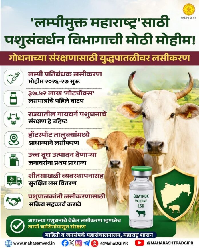 'लम्पीमुक्त महाराष्ट्र'साठी पशुसंवर्धन विभागाची मोठी मोहीम