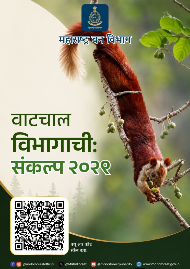 वन विभागाचा ‘संकल्प २०२९’ आराखडा; वनसंवर्धन आणि जैवविविधता संरक्षणाला नवी दिशा