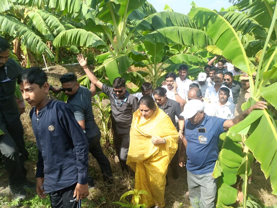 वादळी पावसामुळे नुकसान झालेल्या केळी पिकांची उपमुख्यमंत्री सुनेत्रा पवार यांच्याकडून पाहणी