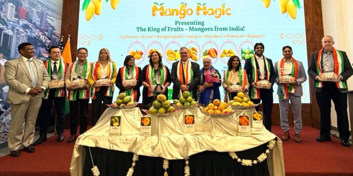 सिएटलमध्ये भारतीय आंब्यांची जादू; ‘मँगो मॅजिक’ कार्यक्रमाला उत्स्फूर्त प्रतिसाद