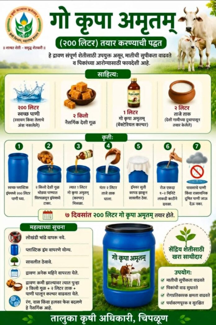 'गो कृपा अमृतम्' ठरतेय सेंद्रिय शेतीचा खरा साथीदार