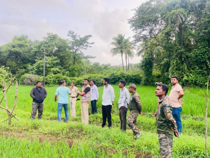 बुधवळेतील वन्यप्राण्यांच्या उपद्रवाची वनविभागाकडून तात्काळ दखल