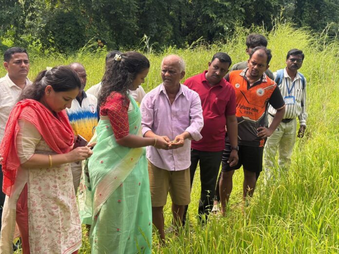 कमी पावसामुळे नुकसानग्रस्त शेतीची जिल्हाधिकारी तृप्ती धोडमिसे यांच्याकडून पाहणी