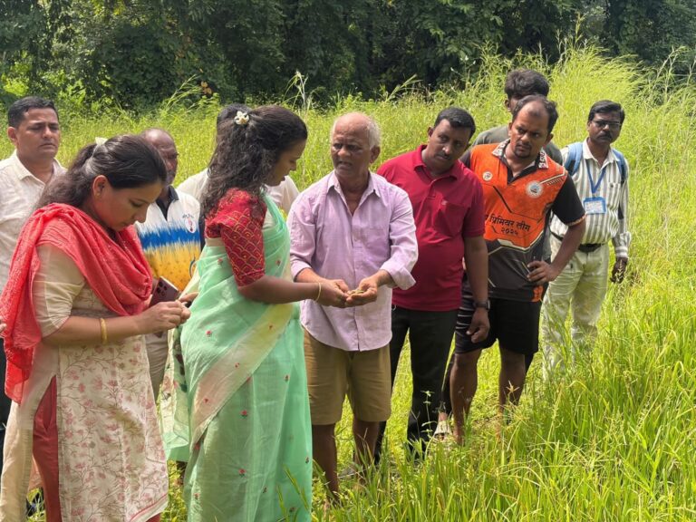 कमी पावसामुळे नुकसानग्रस्त शेतीची जिल्हाधिकारी तृप्ती धोडमिसे यांच्याकडून पाहणी