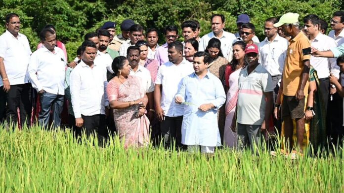 बेळणे खुर्दमध्ये भातशेतीची पाहणी; बाधित शेतकऱ्यांना मदतीची ग्वाही