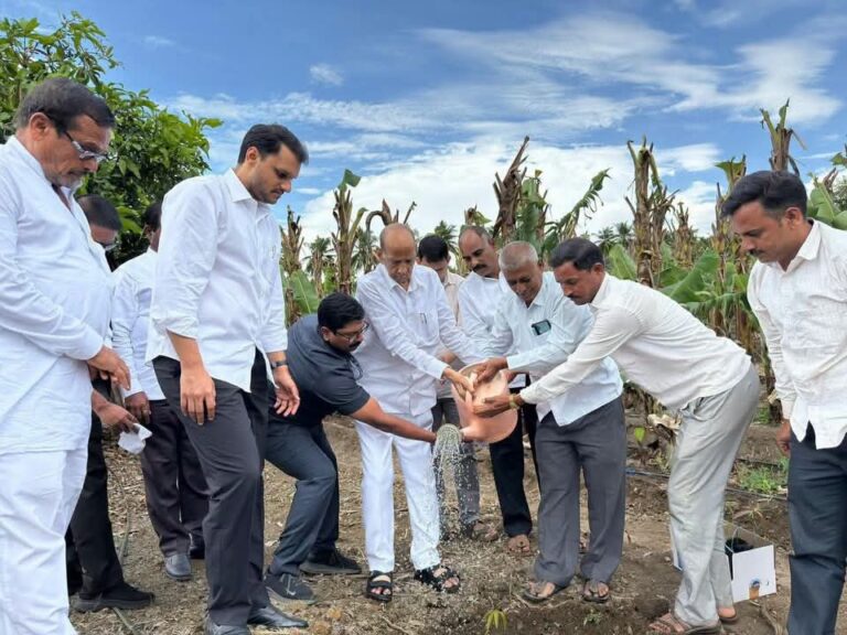 ३ किलो वजनाचा ‘शरद मॅंगो’; गोविंद बागेत लागवड, प्रयोगशील शेतकऱ्याच्या नावीन्यपूर्ण प्रयोगाचे कौतुक
