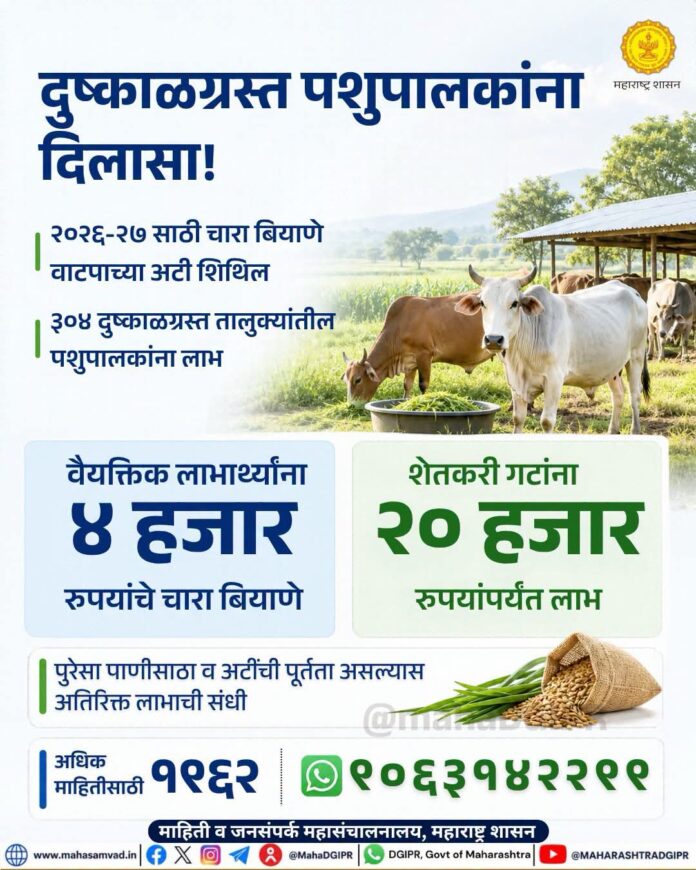 दुष्काळी भागातील पशुपालकांना दिलासा; २०२६-२७ साठी चारा बियाणे वाटपाच्या अटी शिथिल