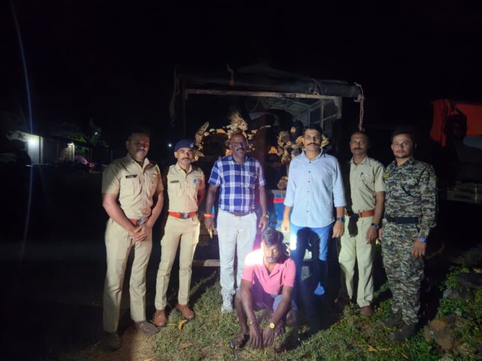 खैर तस्करीवर वनविभागाची कारवाई; मात्र कारवाईच्या नोंदीवर राष्ट्रवादी काँग्रेसचा (शरदचंद्र पवार) पक्षाच्या आक्षेप, अधिकाऱ्यांच्या चौकशीची मागणी
