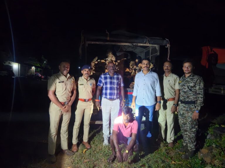 खैर तस्करीवर वनविभागाची कारवाई; मात्र कारवाईच्या नोंदीवर राष्ट्रवादी काँग्रेसचा (शरदचंद्र पवार) पक्षाच्या आक्षेप, अधिकाऱ्यांच्या चौकशीची मागणी